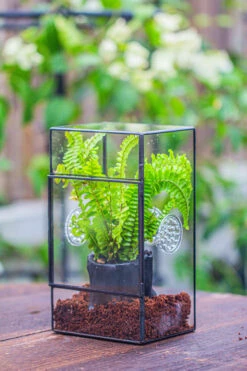 Rectangle Tin And Glass Geometric Terrarium Kit, With Side Door, With Vent, Snail Terrarium Building Set -Ncyp Garden Store IMG 0680