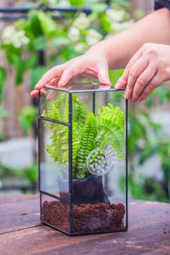 Rectangle Tin And Glass Geometric Terrarium Kit, With Side Door, With Vent, Snail Terrarium Building Set -Ncyp Garden Store IMG 0681