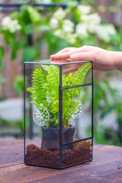 Rectangle Tin And Glass Geometric Terrarium Kit, With Side Door, With Vent, Snail Terrarium Building Set -Ncyp Garden Store IMG 0682