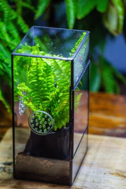 Rectangle Tin And Glass Geometric Terrarium Kit, With Side Door, With Vent, Snail Terrarium Building Set -Ncyp Garden Store IMG 0711