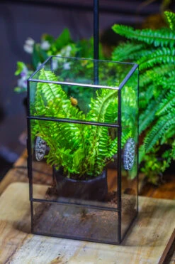 Rectangle Tin And Glass Geometric Terrarium Kit, With Side Door, With Vent, Snail Terrarium Building Set -Ncyp Garden Store IMG 0714