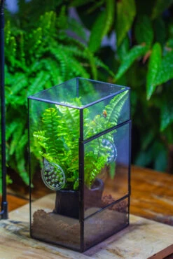 Rectangle Tin And Glass Geometric Terrarium Kit, With Side Door, With Vent, Snail Terrarium Building Set -Ncyp Garden Store IMG 0715