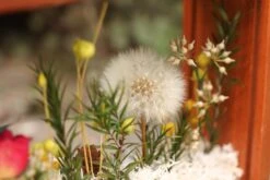 Presered Dandelion Set 3 Pcs Dried Flowers, DIY Material For Bouquet, -Ncyp Garden Store IMG 1041 1