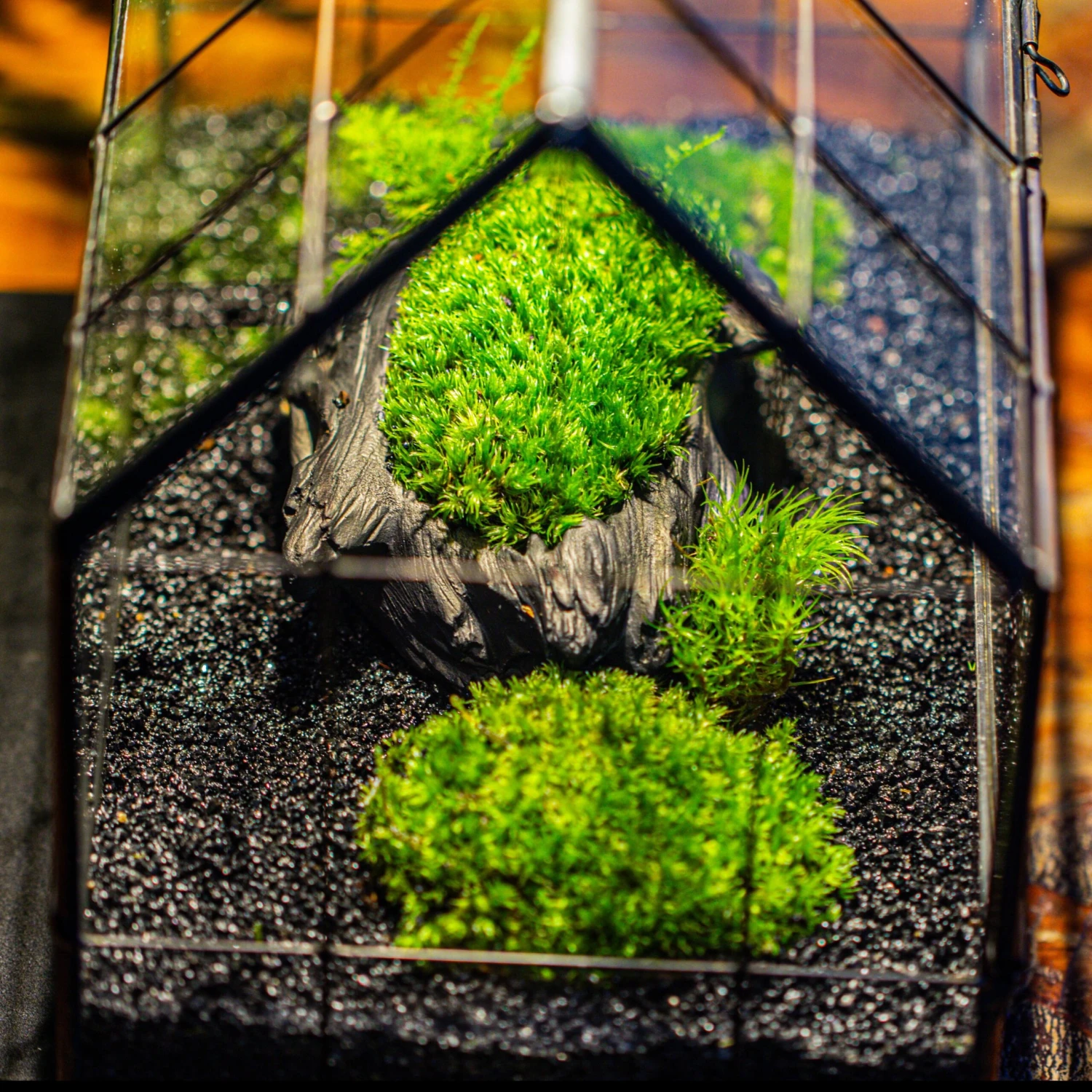 Decorative Black Galaxy Rocks Quartz Sand For Succulents Top Dressing, Terrarium, Fairy Gardening 4 Decorative Black Galaxy Rocks Quartz Sand For Succulents Top Dressing, Terrarium, Fairy Gardening - Image 2