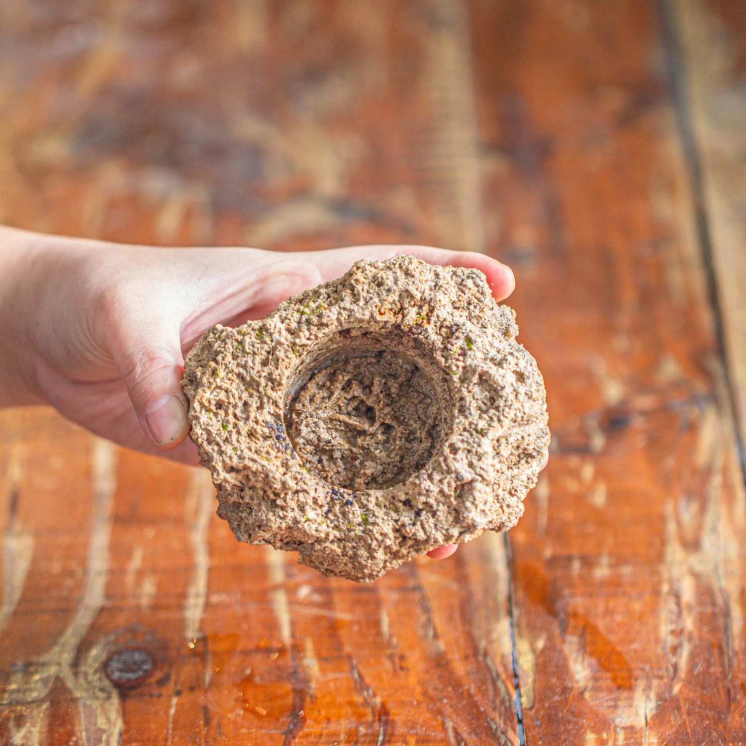 Natural Limestone Rock For Moss, Bonsai, Hydroponic Planting, 500-700G 3 Natural Limestone Rock For Moss, Bonsai, Hydroponic Planting, 500-700G