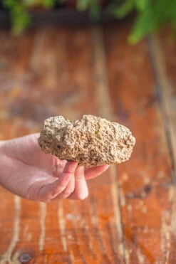 Natural Limestone Rock For Moss, Bonsai, Hydroponic Planting, 500-700G 18 Natural Limestone Rock For Moss, Bonsai, Hydroponic Planting, 500-700G -Ncyp Garden Store IMG 1319