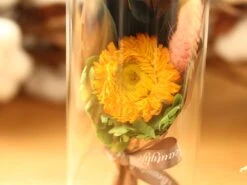 Dried Flowers Terrarium Gift Set Dried Strawflower Bouquet In Glass Tube -Ncyp Garden Store IMG 1334