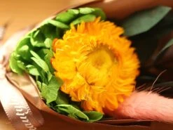 Dried Flowers Terrarium Gift Set Dried Strawflower Bouquet In Glass Tube -Ncyp Garden Store IMG 1335