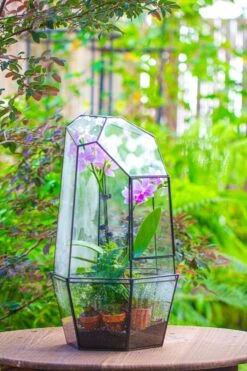 Large 2-Part 18.9" Tall Close Glass Terrarium For Orchid, Fern, Moss, Watertight -Ncyp Garden Store IMG 1414
