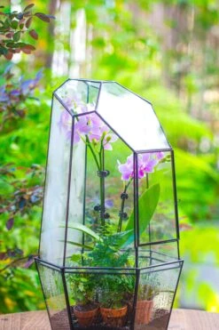 Large 2-Part 18.9" Tall Close Glass Terrarium For Orchid, Fern, Moss, Watertight -Ncyp Garden Store IMG 1415