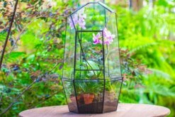 Large 2-Part 18.9" Tall Close Glass Terrarium For Orchid, Fern, Moss, Watertight -Ncyp Garden Store IMG 1424