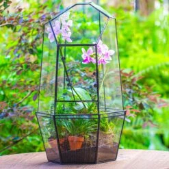 Large 2-Part 18.9" Tall Close Glass Terrarium For Orchid, Fern, Moss, Watertight -Ncyp Garden Store IMG 1424 a225ff38 c090 46d8 9526 91a4ca117fd2