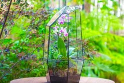Large 2-Part 18.9" Tall Close Glass Terrarium For Orchid, Fern, Moss, Watertight -Ncyp Garden Store IMG 1425