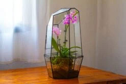 Large 2-Part 18.9" Tall Close Glass Terrarium For Orchid, Fern, Moss, Watertight -Ncyp Garden Store IMG 1491