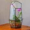 Large 2-Part 18.9" Tall Close Glass Terrarium For Orchid, Fern, Moss, Watertight -Ncyp Garden Store IMG 1596