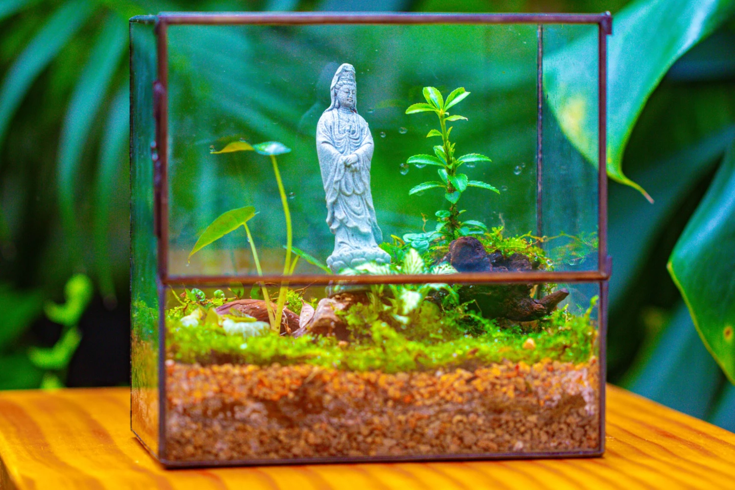 7x7 Inches Glass Terrarium With Side Door, For Moss 5 7x7 Inches Glass Terrarium With Side Door, For Moss - Image 3