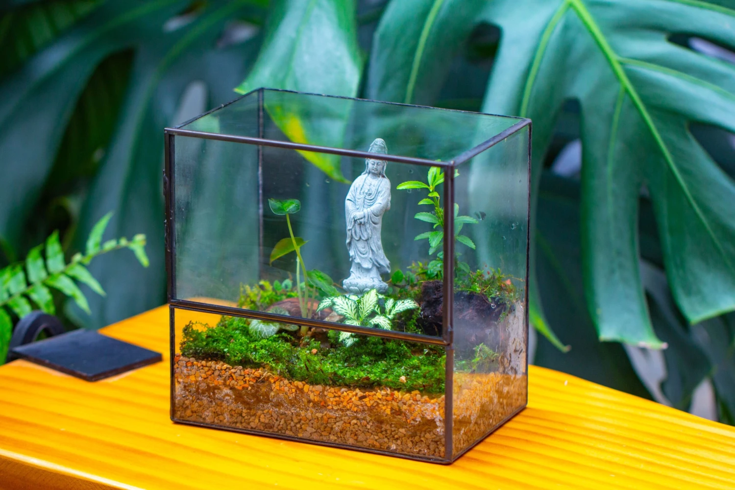 7x7 Inches Glass Terrarium With Side Door, For Moss 6 7x7 Inches Glass Terrarium With Side Door, For Moss - Image 4