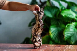 Natural Driftwood For Moss Terrarium, Miniature, Micro Landscape, Unique 12-28, Suitable For Both Live And Preserved Moss -Ncyp Garden Store IMG 2049