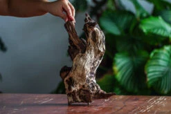 Natural Driftwood For Moss Terrarium, Miniature, Micro Landscape, Unique 12-28, Suitable For Both Live And Preserved Moss -Ncyp Garden Store IMG 2050