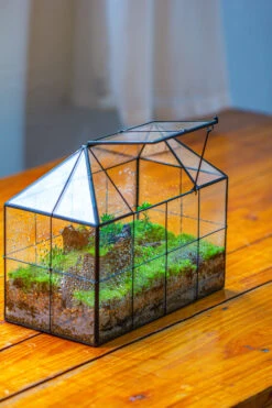 NCYP Glass Geometric Terrarium Tin-Sealed Brass Black House Shape Container With Grid And Swing Lid 23 NCYP Glass Geometric Terrarium Tin-Sealed Brass Black House Shape Container With Grid And Swing Lid -Ncyp Garden Store IMG 2053 17802513 28e4 42e8 89c1 df5d2962a863