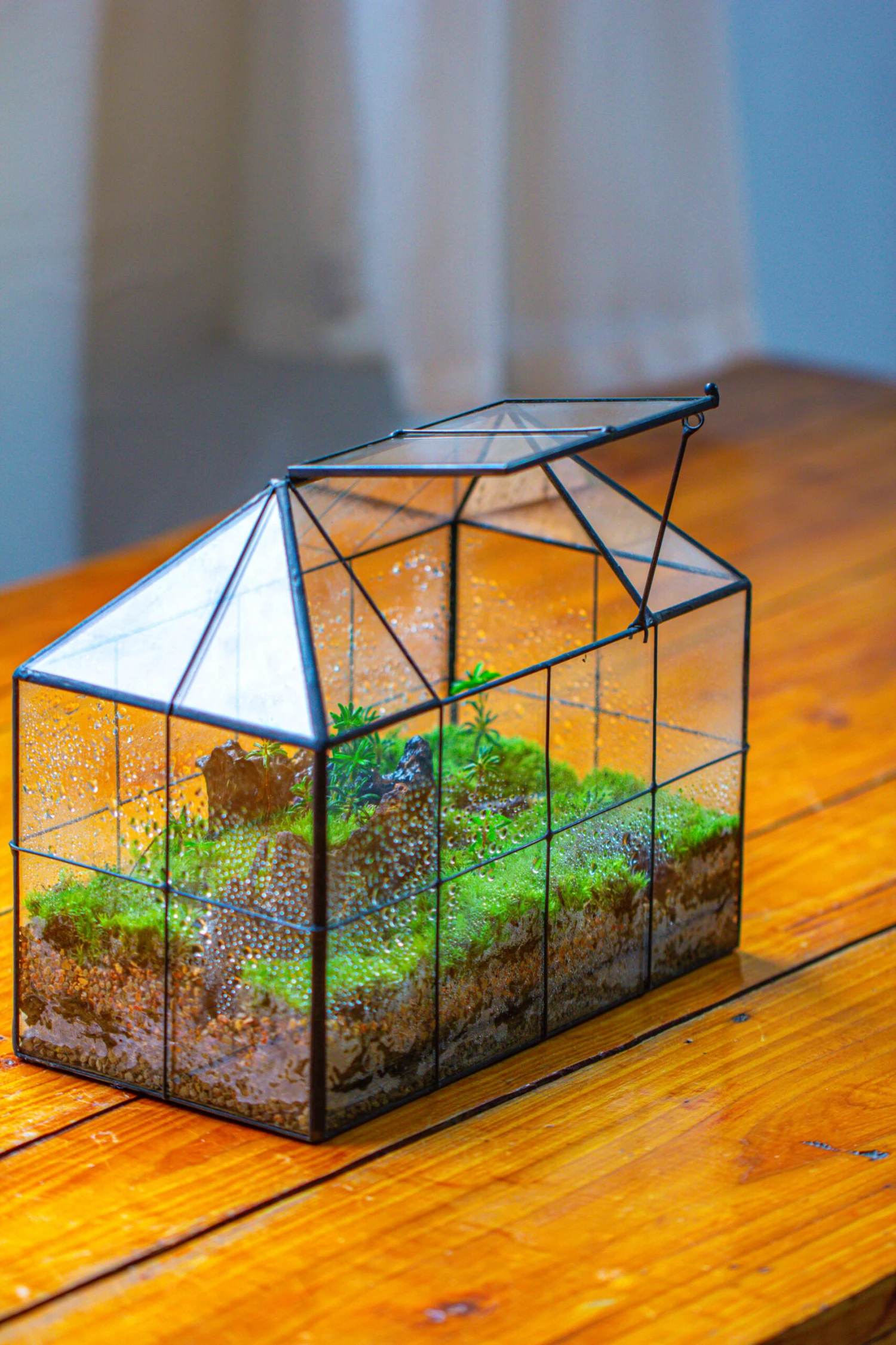 NCYP Glass Geometric Terrarium Tin-Sealed Brass Black House Shape Container With Grid And Swing Lid 5 NCYP Glass Geometric Terrarium Tin-Sealed Brass Black House Shape Container With Grid And Swing Lid - Image 3