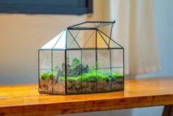 NCYP Glass Geometric Terrarium Tin-Sealed Brass Black House Shape Container With Grid And Swing Lid 24 NCYP Glass Geometric Terrarium Tin-Sealed Brass Black House Shape Container With Grid And Swing Lid -Ncyp Garden Store IMG 2054 183ea883 c334 498c bcbf 63a1b204af05
