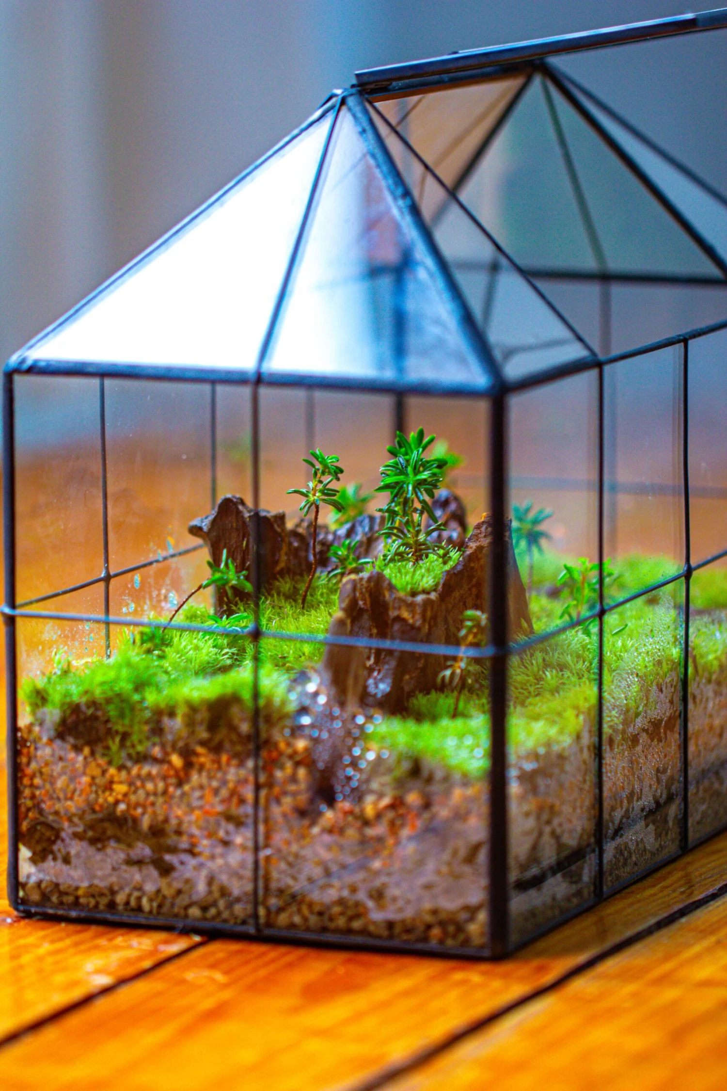 NCYP Glass Geometric Terrarium Tin-Sealed Brass Black House Shape Container With Grid And Swing Lid 4 NCYP Glass Geometric Terrarium Tin-Sealed Brass Black House Shape Container With Grid And Swing Lid - Image 2