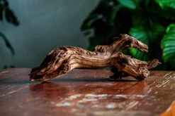Natural Driftwood For Moss Terrarium, Miniature, Micro Landscape, Unique 12-65, Suitable For Both Live And Preserved Moss -Ncyp Garden Store IMG 2057