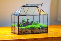 NCYP Glass Geometric Terrarium Tin-Sealed Brass Black House Shape Container With Grid And Swing Lid 31 NCYP Glass Geometric Terrarium Tin-Sealed Brass Black House Shape Container With Grid And Swing Lid -Ncyp Garden Store IMG 2057 5fb52cac 35ff 47b2 affa a5e5bd53e73b