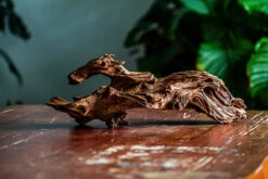 Natural Driftwood For Moss Terrarium, Miniature, Micro Landscape, Unique 12-64, Suitable For Both Live And Preserved Moss -Ncyp Garden Store IMG 2059