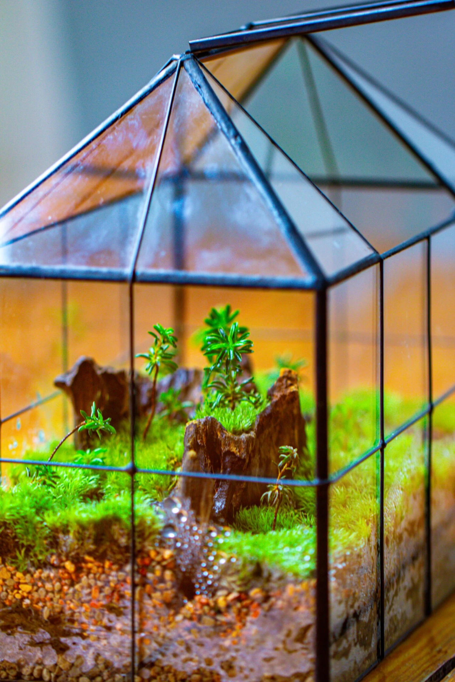 NCYP Glass Geometric Terrarium Tin-Sealed Brass Black House Shape Container With Grid And Swing Lid 8 NCYP Glass Geometric Terrarium Tin-Sealed Brass Black House Shape Container With Grid And Swing Lid - Image 6