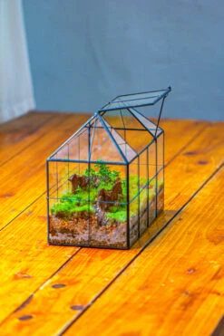 NCYP Glass Geometric Terrarium Tin-Sealed Brass Black House Shape Container With Grid And Swing Lid 27 NCYP Glass Geometric Terrarium Tin-Sealed Brass Black House Shape Container With Grid And Swing Lid -Ncyp Garden Store IMG 2068 cfcf26f9 fa21 462a ada3 f63a75344537
