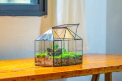 NCYP Glass Geometric Terrarium Tin-Sealed Brass Black House Shape Container With Grid And Swing Lid 28 NCYP Glass Geometric Terrarium Tin-Sealed Brass Black House Shape Container With Grid And Swing Lid -Ncyp Garden Store IMG 2069 577fbfe0 b0e3 411a bf75 dd01ae7b26ec