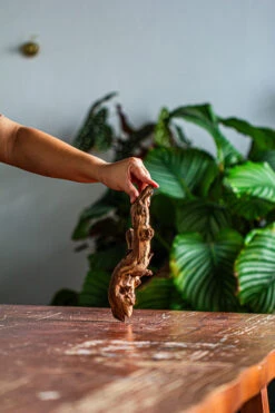 Natural Driftwood For Moss Terrarium, Miniature, Micro Landscape, Unique 12-57, Suitable For Both Live And Preserved Moss -Ncyp Garden Store IMG 2096