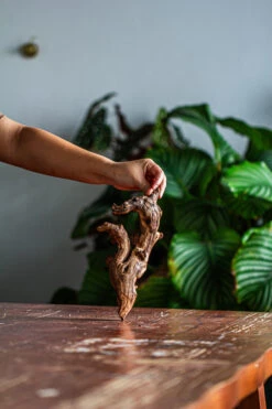 Natural Driftwood For Moss Terrarium, Miniature, Micro Landscape, Unique 12-57, Suitable For Both Live And Preserved Moss -Ncyp Garden Store IMG 2097