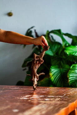 Natural Driftwood For Moss Terrarium, Miniature, Micro Landscape, Unique 12-44, Suitable For Both Live And Preserved Moss -Ncyp Garden Store IMG 2100