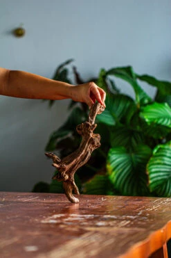 Natural Driftwood For Moss Terrarium, Miniature, Micro Landscape, Unique 12-44, Suitable For Both Live And Preserved Moss -Ncyp Garden Store IMG 2101