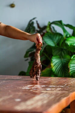 Natural Driftwood For Moss Terrarium, Miniature, Micro Landscape, Unique 12-59, Suitable For Both Live And Preserved Moss -Ncyp Garden Store IMG 2104