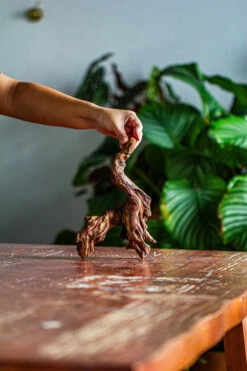 Natural Driftwood For Moss Terrarium, Miniature, Micro Landscape, Unique 12-59, Suitable For Both Live And Preserved Moss -Ncyp Garden Store IMG 2105