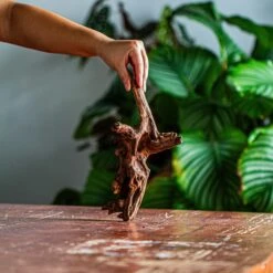 Natural Driftwood For Moss Terrarium, Miniature, Micro Landscape, Unique 12-58, Suitable For Both Live And Preserved Moss