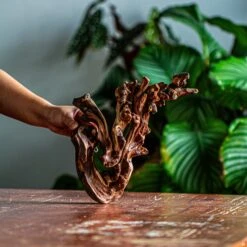 Natural Driftwood For Moss Terrarium, Miniature, Micro Landscape, Unique 12-60, Suitable For Both Live And Preserved Moss