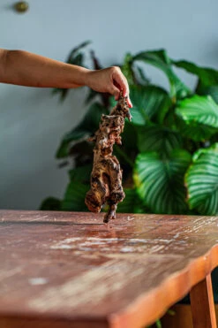 Natural Driftwood For Moss Terrarium, Miniature, Micro Landscape, Unique 12-62, Suitable For Both Live And Preserved Moss -Ncyp Garden Store IMG 2116