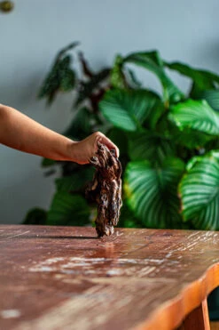 Natural Driftwood For Moss Terrarium, Miniature, Micro Landscape, Unique 12-42, Suitable For Both Live And Preserved Moss -Ncyp Garden Store IMG 2134