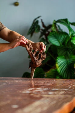 Natural Driftwood For Moss Terrarium, Miniature, Micro Landscape, Unique 12-35, Suitable For Both Live And Preserved Moss -Ncyp Garden Store IMG 2153