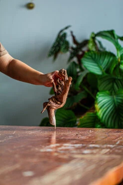 Natural Driftwood For Moss Terrarium, Miniature, Micro Landscape, Unique 12-35, Suitable For Both Live And Preserved Moss -Ncyp Garden Store IMG 2154