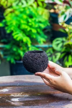3 Units 10cm / 3.7" Round Red Horticultural Lava Rock Volcanic Rock Planter For Succulents, Moss, Tropical Palants, Terrariums -Ncyp Garden Store IMG 2213