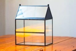 NCYP Simplified House Shape Glass Geometric Terrarium, With Side Door, With Mesh Vent Holes For Small Insects Pet -Ncyp Garden Store IMG 2213 c0be37a5 3e65 4dca ace3 42a0bc30001c