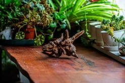 Natural Driftwood For Moss Terrarium, Miniature, Micro Landscape, Unique 12-5, Suitable For Both Live And Preserved Moss -Ncyp Garden Store IMG 2312