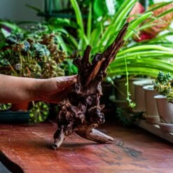 Natural Driftwood For Moss Terrarium, Miniature, Micro Landscape, Unique 12-27, Suitable For Both Live And Preserved Moss