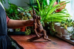 Natural Driftwood For Moss Terrarium, Miniature, Micro Landscape, Unique 12-27, Suitable For Both Live And Preserved Moss -Ncyp Garden Store IMG 2315